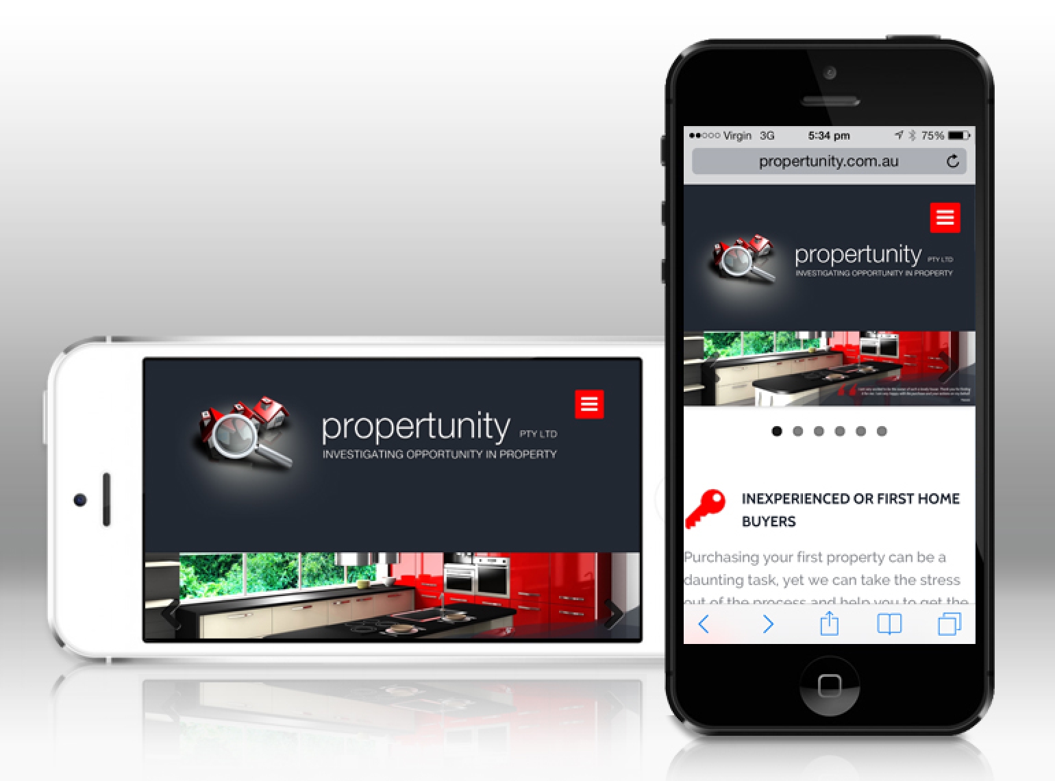 Propertunity InBlue  Media